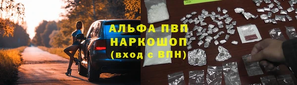 PSILOCYBIN Краснотурьинск