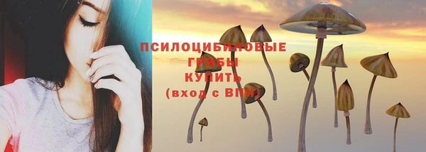 мяу мяу мука Краснослободск