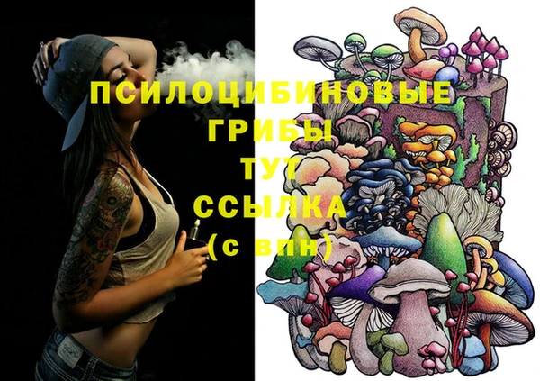 PSILOCYBIN Краснотурьинск
