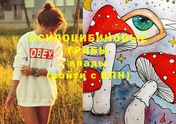 мяу мяу мука Краснослободск