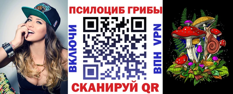 Купить  Гурьевск  Псилоцибиновые грибы Magic Shrooms 